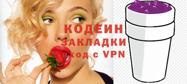 гашик Коряжма