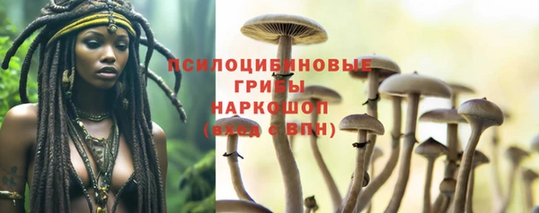 каннабис Корсаков