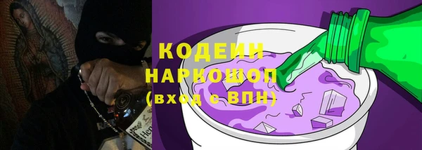 гашик Коряжма