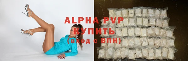 гашик Коряжма