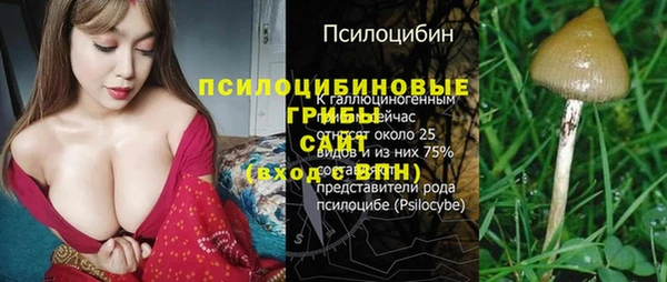 каннабис Корсаков