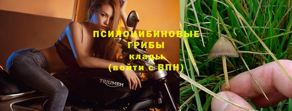 таблы Костерёво