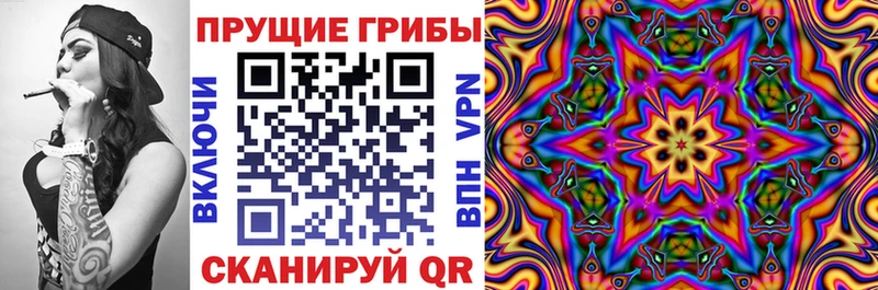 ОМГ ОМГ маркетплейс  наркотики  сайты даркнета состав  Галлюциногенные грибы MAGIC MUSHROOMS  Орск 